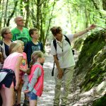 Un groupe en randonnée guidée en Ardenne