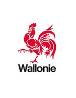 Logo de la Région Wallonie