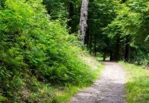 La nature, alliée de notre santé !