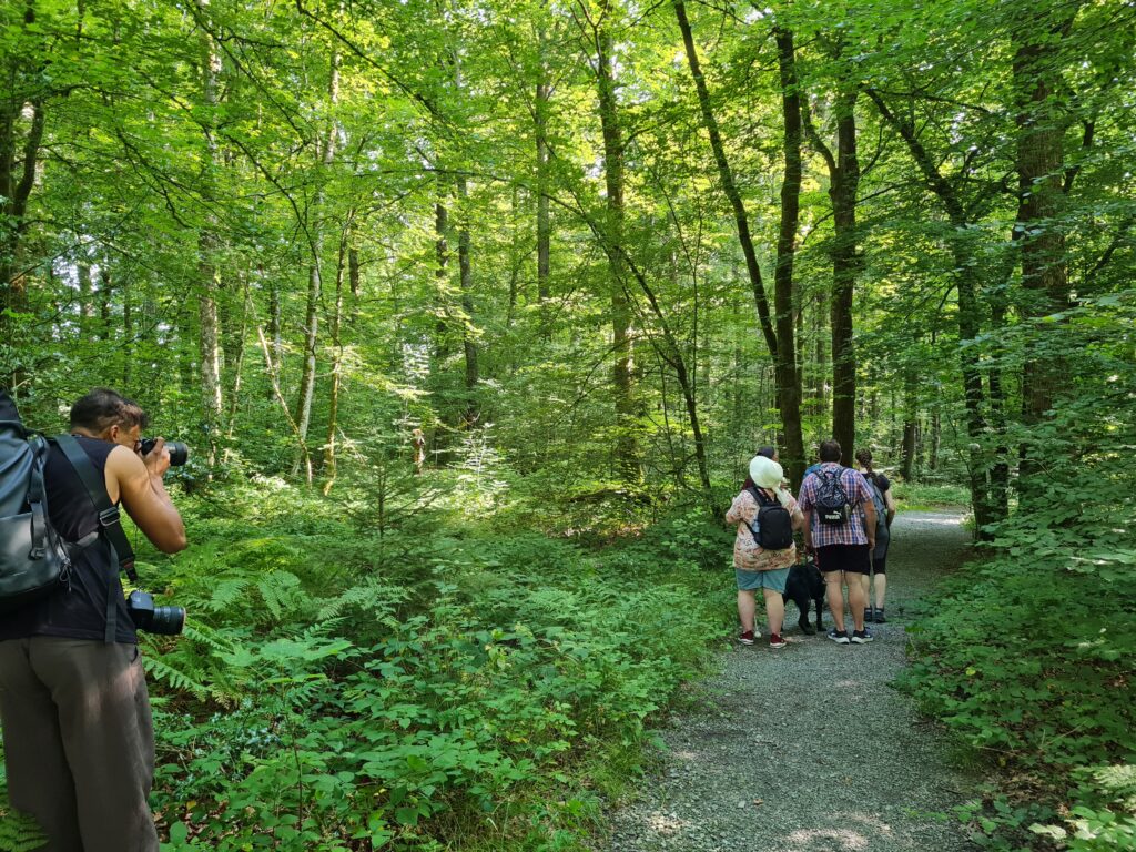 Reportage photo d'un bain de forêt, testé et approuvé par un public mal et non-voyant. Entrée en forêt.