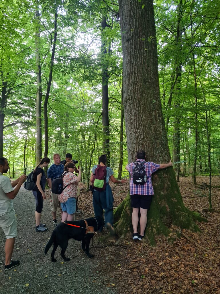 Un groupe de personnes mal et non-voyantes testent l'activité du Bain de Forêt et enlacent un arbre.
