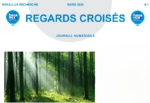 Innovation sociale et tourisme durable : l’Ardenne, un modèle d’avenir ?