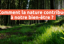 Comment la nature contribue à notre bien-être