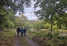 Étude sur la perception du tourisme dans les Ardennes : place à la parole des habitants