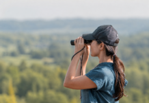 Une nouvelle page de veille pour suivre les évolutions du tourisme